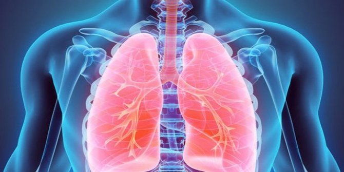Akciğeri güçlendiren 10 önemli besin