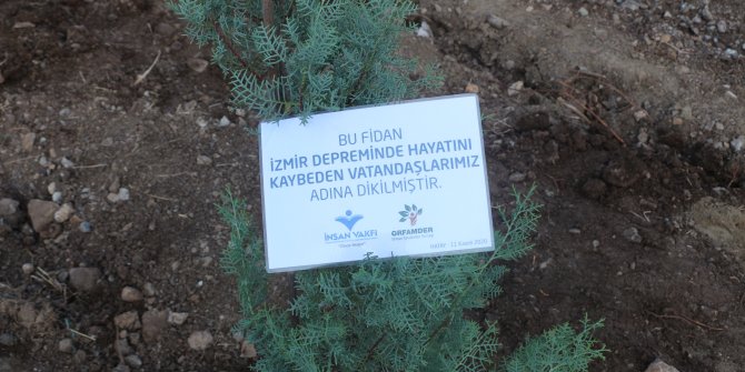 81 ilde 81 bin fidan toprakla buluşuyor