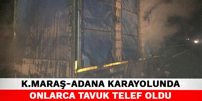 Kahramanmaraş-Adana karayolunda onlarca tavuk telef oldu
