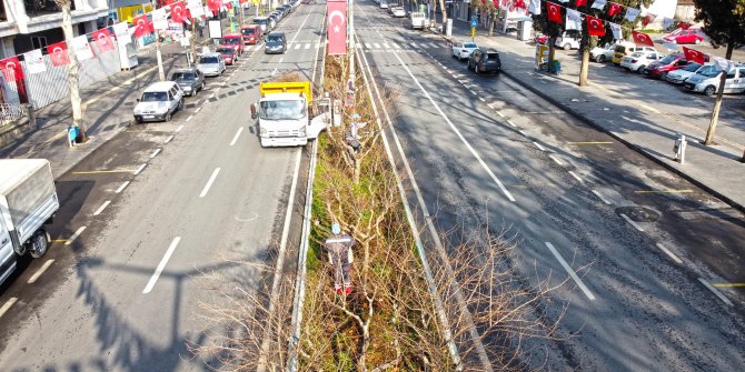 Kahramanmaraş'ta yeşil alanların bakımı yapılıyor