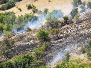 KAHRAMANMARAŞ'TA ORMAN YANGINI