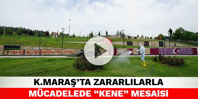 Kahramanmaraş'ta zararlılarla mücadelede “kene” mesaisi