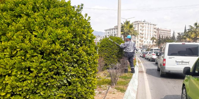 Kahramanmaraş’ta yeşil alanlarda bakım çalışması
