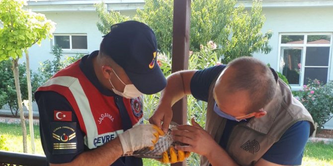 Jandarma’nın doğa ve hayvan sevgisi takdir topladı