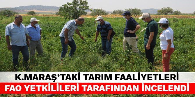 Kahramanmaraş’taki tarım faaliyetleri FAO yetkilileri tarafından incelendi
