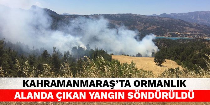 Kahramanmaraş’ta ormanlık alanda çıkan yangın söndürüldü
