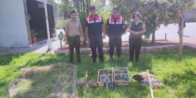 Kahramanmaraş’ta kaçak avcılara ceza yağdı