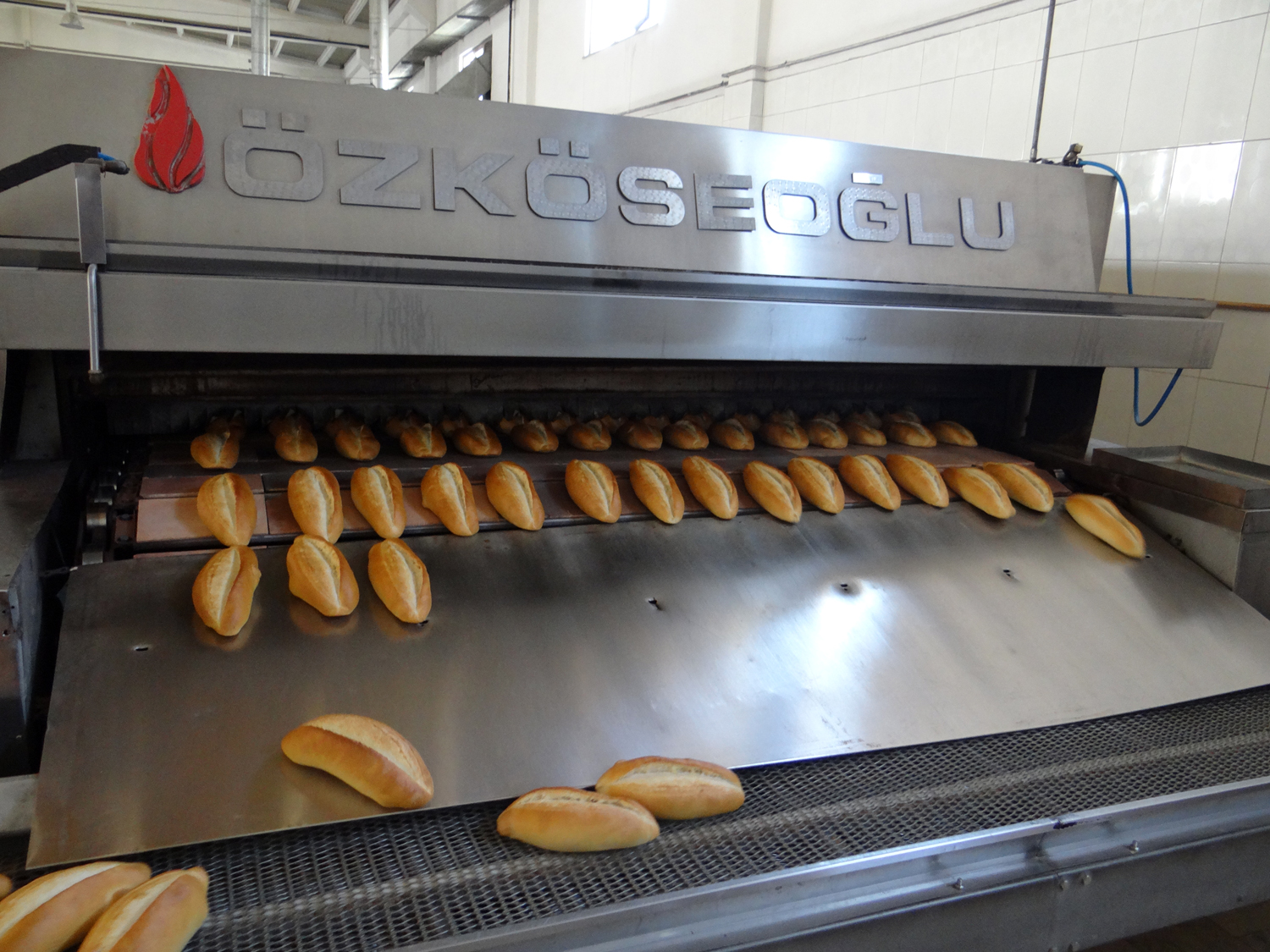 BÜYÜKŞEHİR HALK EKMEK HER YERDE