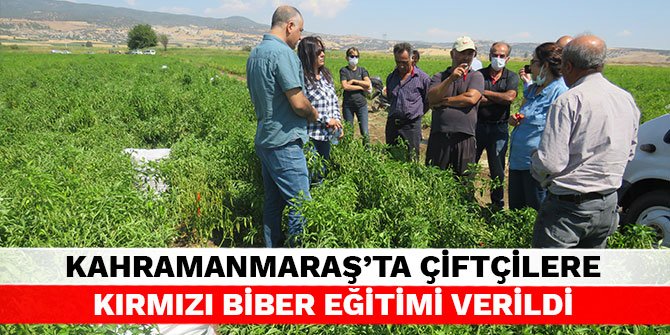 Kahramanmaraş’ta çiftçilere kırmızı biber eğitimi verildi