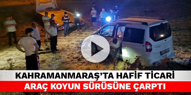 Kahramanmaraş’ta hafif ticari araç koyun sürüsüne çarptı