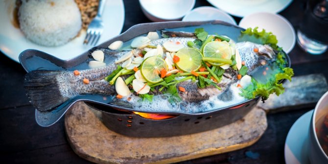 Dr. Selman’dan beyin gelişimi ve görme bozukluğuna karşı omega önerisi