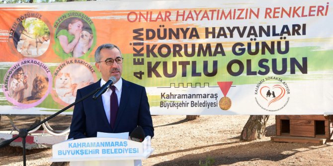 Kahramanmaraş'ta bu yıl 4 bin sokak hayvanına bakım yapıldı
