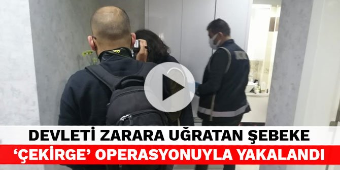 Devleti zarara uğratan şebeke 'Çekirge' operasyonuyla yakalandı