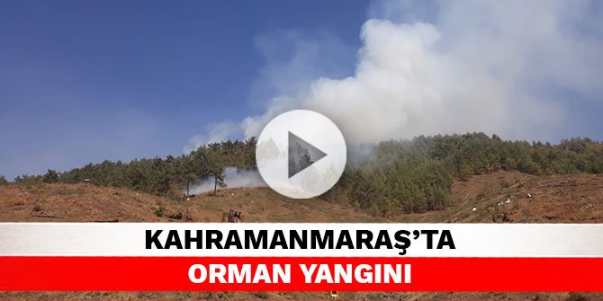 Kahramanmaraş’ta orman yangını