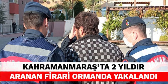 Kahramanmaraş’ta 2 yıldır aranan firari ormanda yakalandı