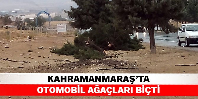 Kahramanmaraş’ta otomobil ağaçları biçti
