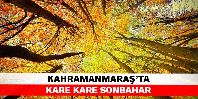 Kahramanmaraş’ta kare kare sonbahar