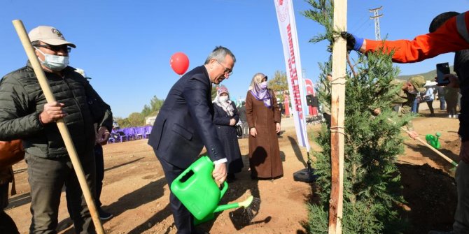 Yedikuyular bölgesi ağaçlandırılacak