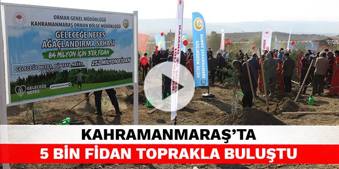 Kahramanmaraş’ta 5 bin fidan toprakla buluştu