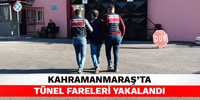 Kahramanmaraş’ta tünel fareleri yakalandı