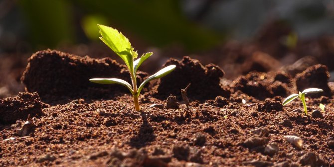 Toprağı korursan yaşamı da biyolojik çeşitliliği de korursun