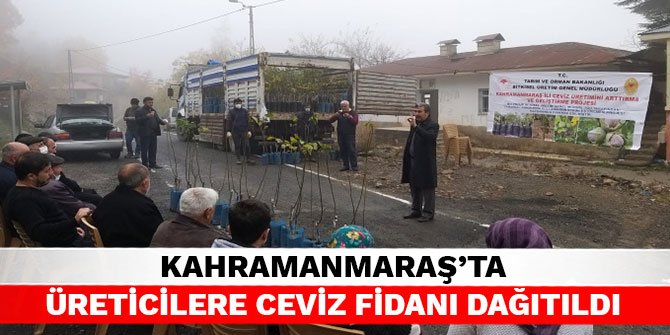Kahramanmaraş’ta üreticilere ceviz fidanı dağıtıldı
