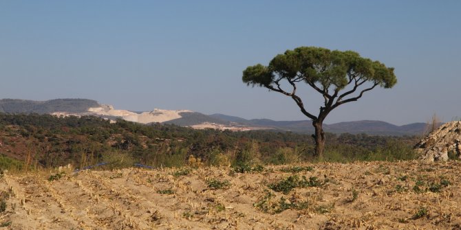 Yaşam en temel haktır!