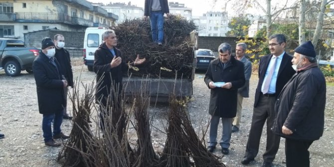 Kahramanmaraş'ta sumak fidanı dağıtıldı