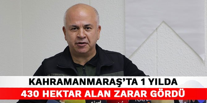 Kahramanmaraş’ta 2021 yılında orman yangınlarında 430 hektar alan zarar gördü