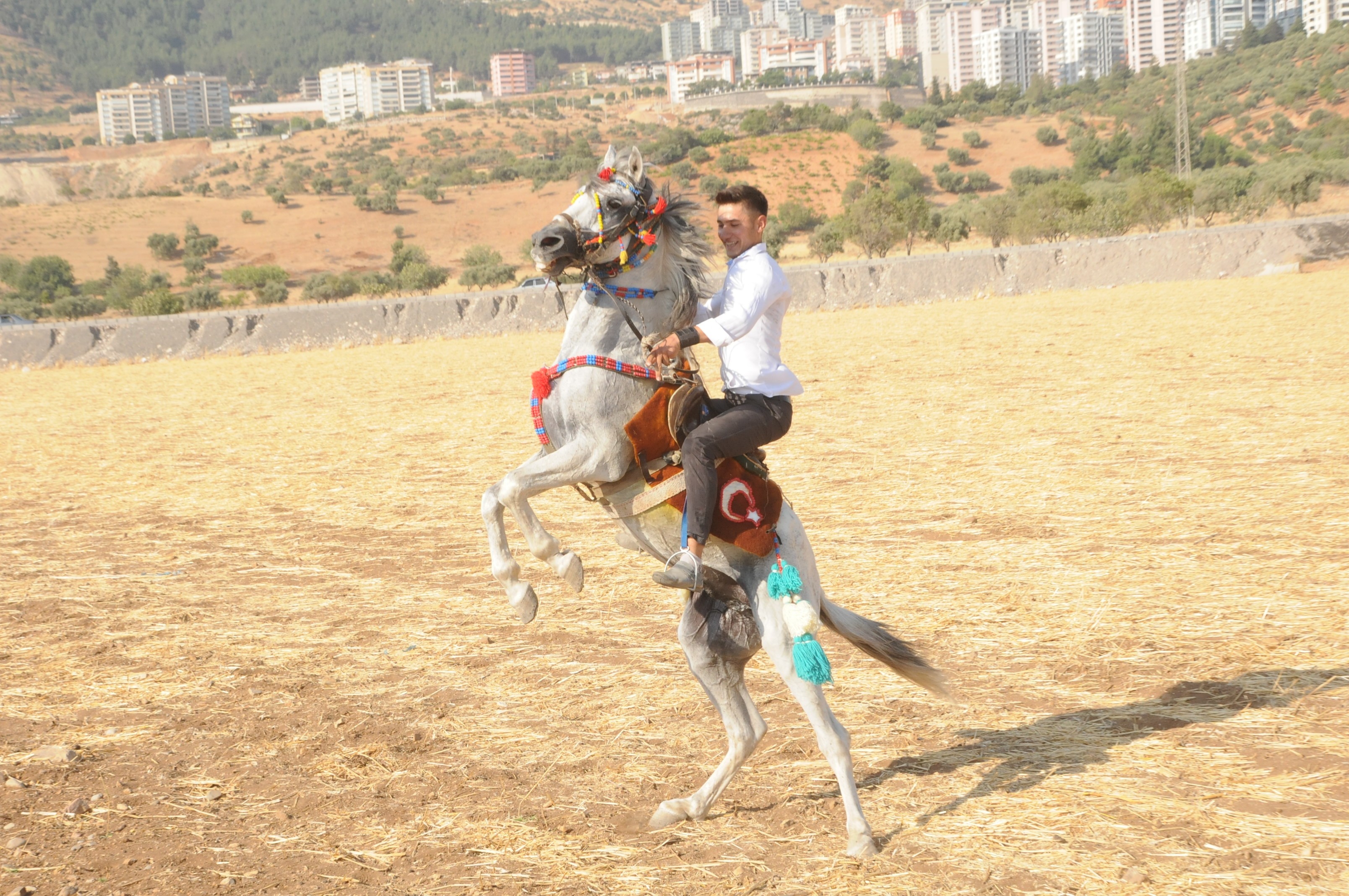 KAHRAMANMARAŞ'TA AT KAZASI! FACİADAN DÖNÜLDÜ