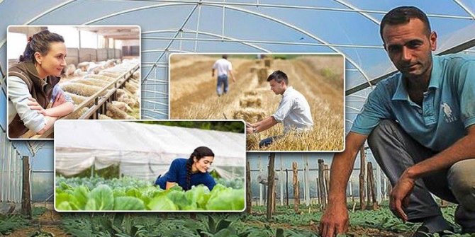 Tarım ve Orman Bakanlığı hibe desteği verecek!