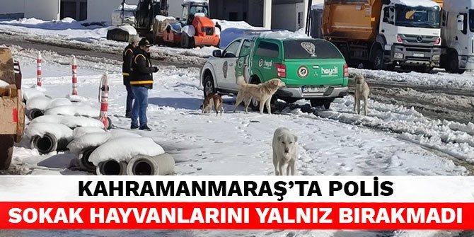 Kahramanmaraş'ta polis sokak hayvanlarını yalnız bırakmadı