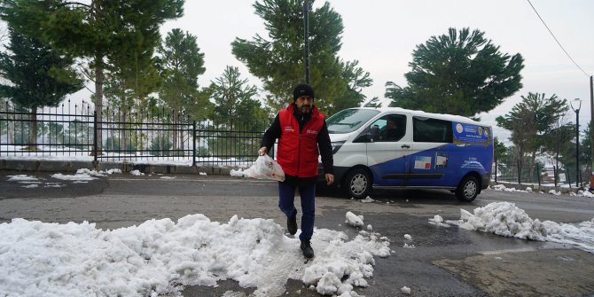 Kahramanmaraş'ta ulu çınarların yemekleri eksik edilmiyor
