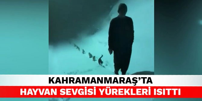 Kahramanmaraş’ta hayvan sevgisi yürekleri ısıttı