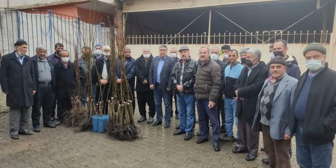 Türkoğlu'nda ceviz fidanı dağıtımı gerçekleştirildi