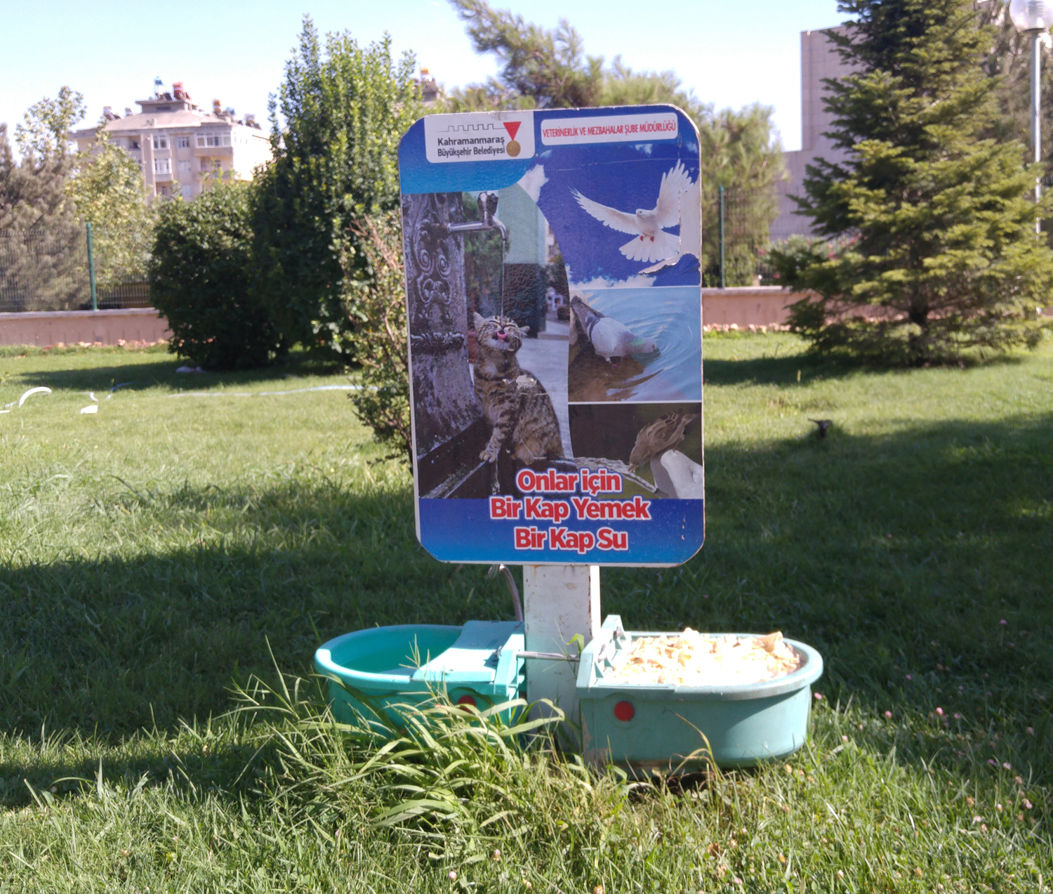 SOKAK HAYVANLARI İÇİN BÜYÜKŞEHİR HER YERDE