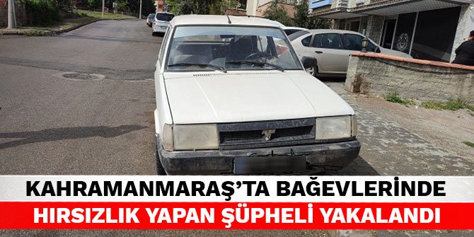 Kahramanmaraş'ta bağevlerinde hırsızlık yapan şüpheli yakalandı