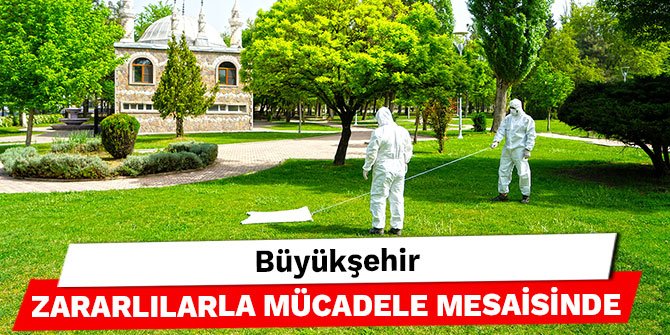 Büyükşehir zararlılarla mücadele mesaisinde