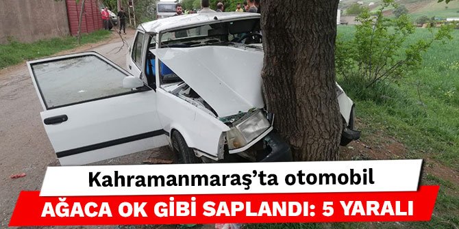 Kahramanmaraş’ta otomobil ağaca ok gibi saplandı: 5 yaralı