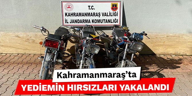 Kahramanmaraş’ta yediemin hırsızları yakalandı
