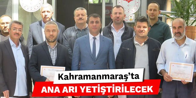 Kahramanmaraş’ta ana arı yetiştirilecek