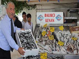 HAMSİNİN BOLLUĞU YÜZLERİ GÜLDÜRDÜ