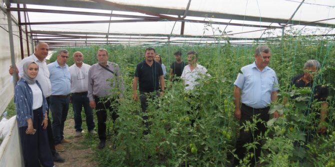Kahramanmaraş'ta sera üreticilerine eğitim verildi