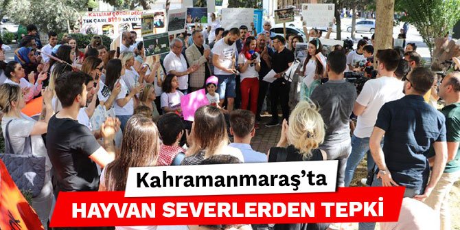 Kahramanmaraş’ta hayvan severlerden tepki