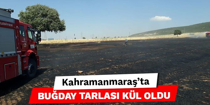 Kahramanmaraş’ta buğday tarlası kül oldu