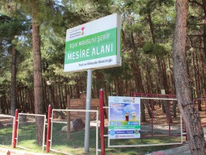 BÜYÜKŞEHİR’DEN DUMANSIZ HAVA SAHASI