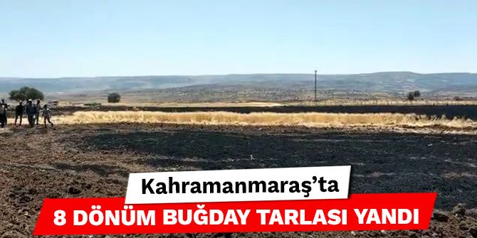 Kahramanmaraş’ta 8 dönüm buğday tarlası yandı