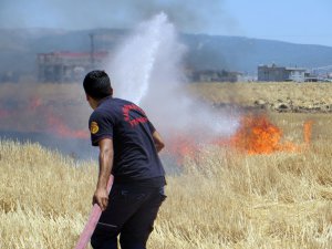 YANGINLARIN YÜZDE 36’SI İZMARİTTEN ÇIKTI