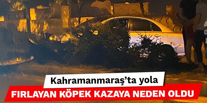 Kahramanmaraş’ta yola fırlayan köpek kazaya neden oldu