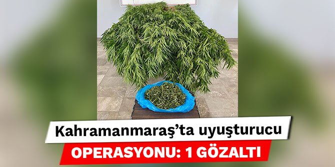 Kahramanmaraş’ta uyuşturucu operasyonu: 1 gözaltı